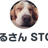うぃるさん STORE