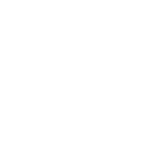 HONEBONE STORE