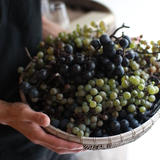 wineshop VINPLUS