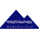 農家直送チューリップ よねだ農園