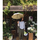 takanori masutani