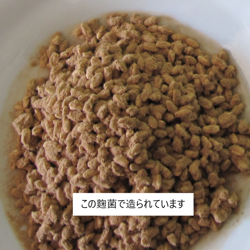 クエン酸含有米麹 すっぱい乾燥米麹300g入 5袋 1 5kg 菱六もやし Offici