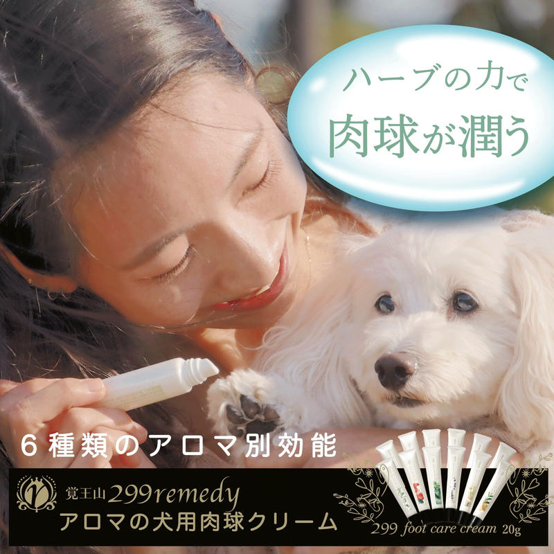 299 Foot Care Cream Mint g 299remedy S Store