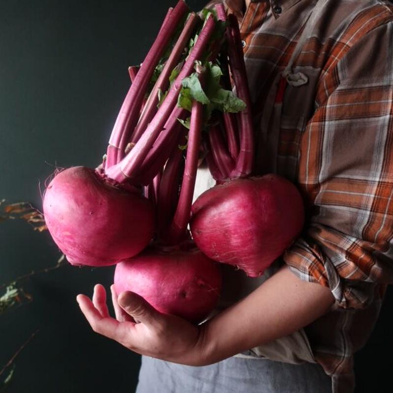 赤カブのピクルス 11 14発売 29 In Bottiglia