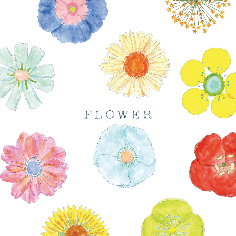 Flower もみじ市10周年記念アルバム V A 333discs