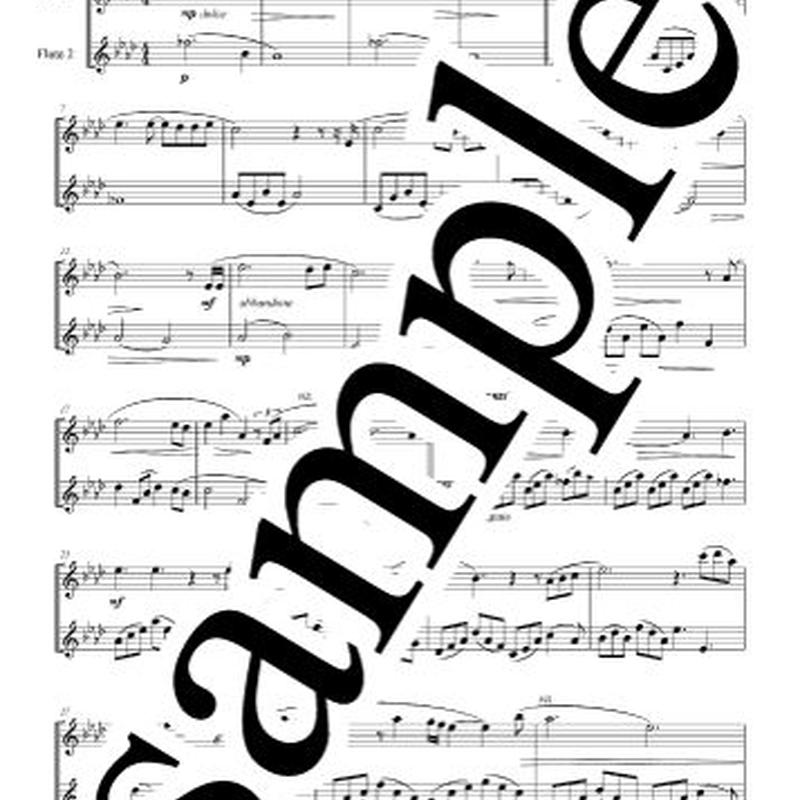 Flute Duet Someday ノートルダムの鐘 Japan Duo Notes