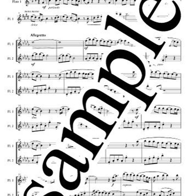 Flute Duet Colors Of The Wind ポカホンタス Japan