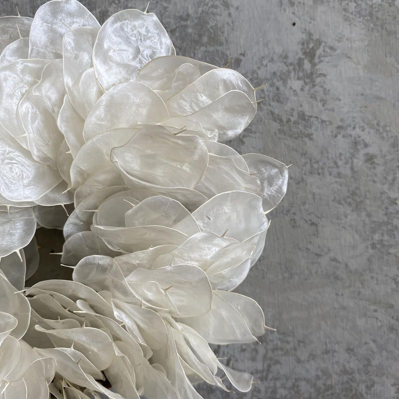 Lunaria Crystal A Aivy Design Lunaria Crystal A Aivy Design