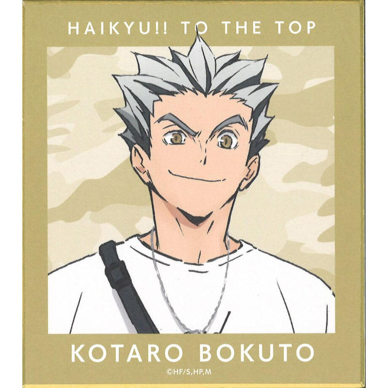 ハイキュー To The Top 東武動物公園 描き下ろしイラスト レジャーver