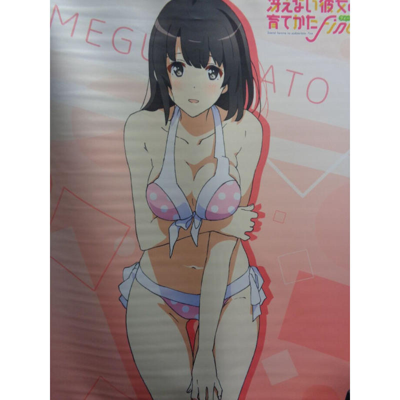 冴えない彼女の育てかた Fine B2タペストリー 加藤恵 水着 K Books 秋葉原