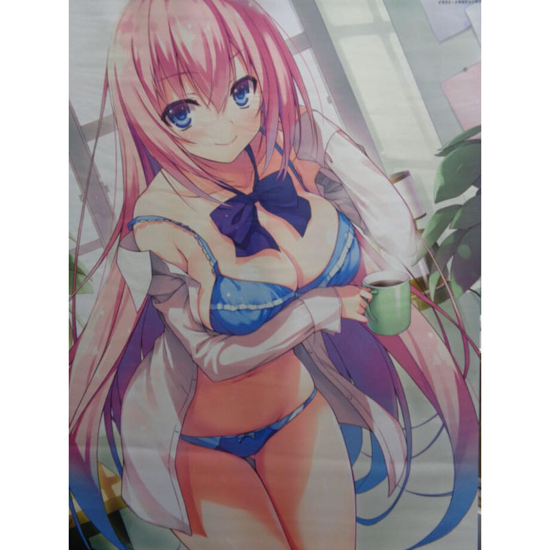 ようこそ実力至上主義の教室へ B2タペストリー 原作3巻メロンブックス特典 K Book