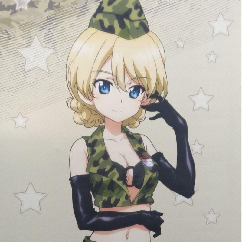 ガールズ パンツァー 最終章 特大タペストリー ダージリン ミリタリー Ver K B