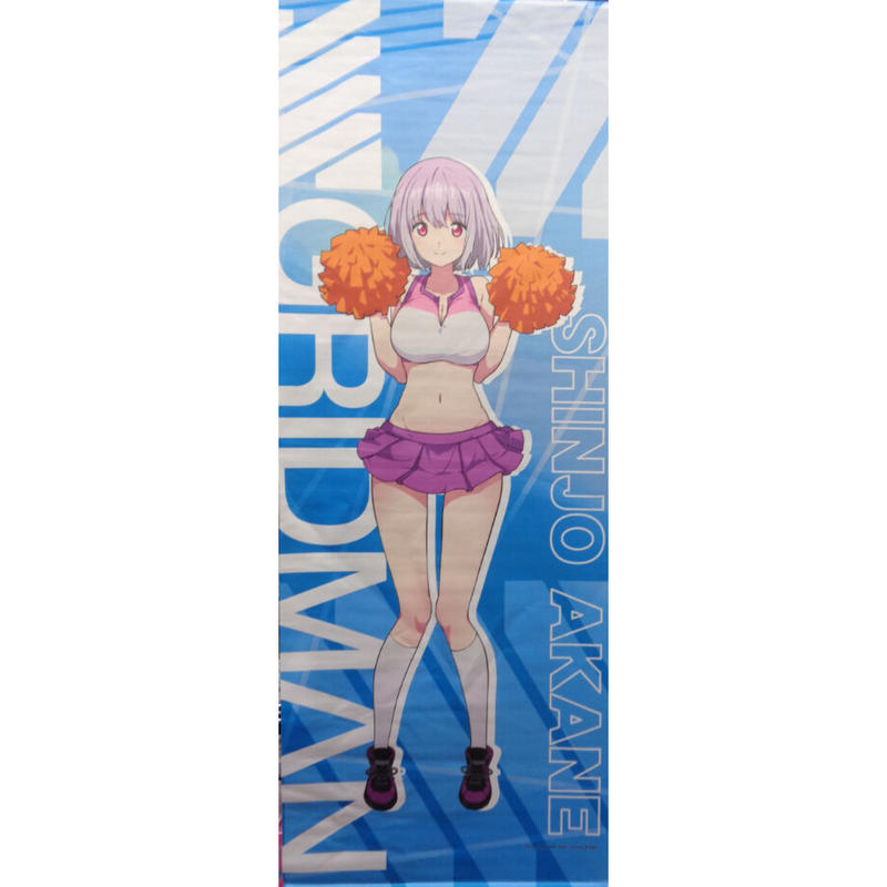 Ssss Gridman ロングタペストリー アカネ キャラ福くじa賞 K Books 秋葉原