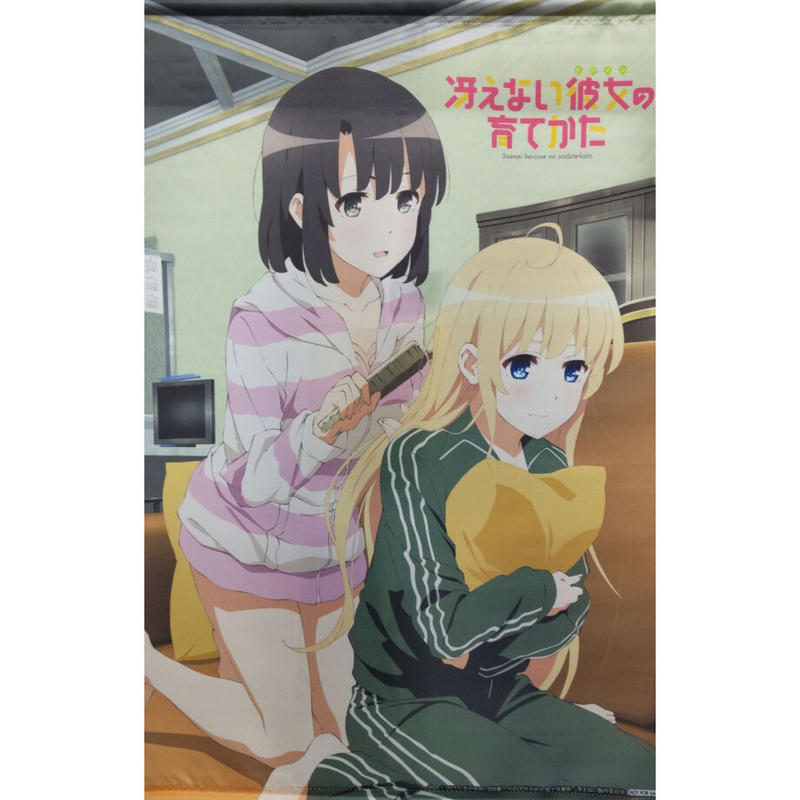 冴えない彼女の育てかた B2タペストリー Dvd アニメイト 全巻購入特典 K B