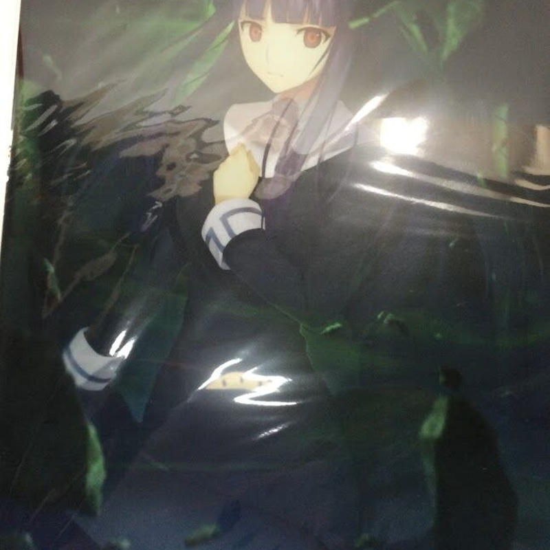 空の境界 歪曲の魔眼 概念礼装 複製原画付クリアファイル K Books 秋葉原