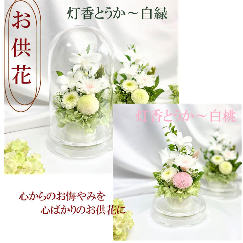 プリザーブドフラワーお供え花ドーム仏花 灯香とうか 白桃 送料無料 新仏 初七日 四十九日 法