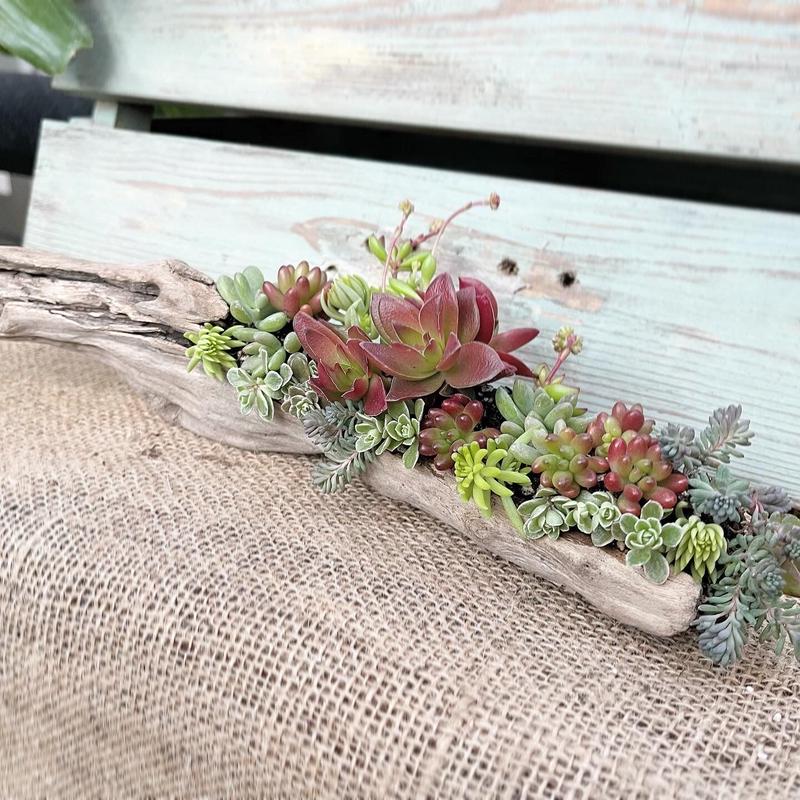 フェイク 多肉植物 寄せ植え 流木 特大サイズ メインテーブル