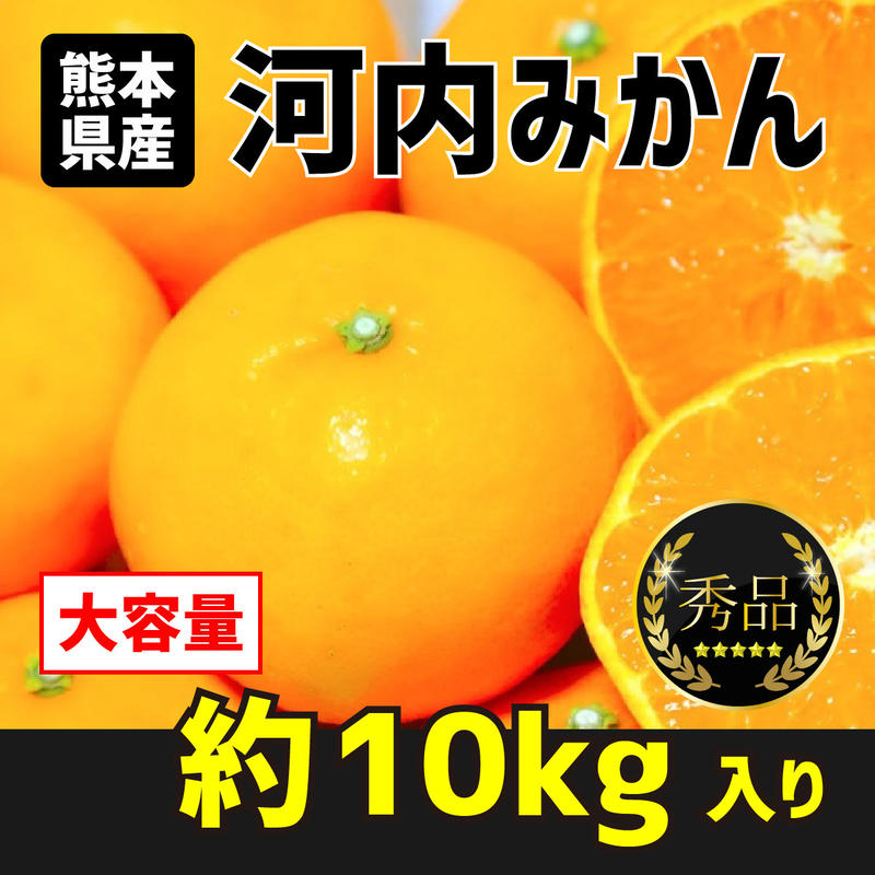 送料込み 熊本県産 河内みかん 10kg 天草 中村屋