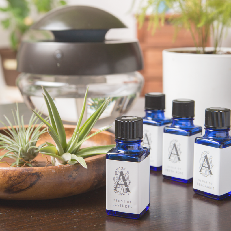 期間 死んでいる 論争的 インフルエンザ 対策 アロマ オイル グリップ 海洋 配列