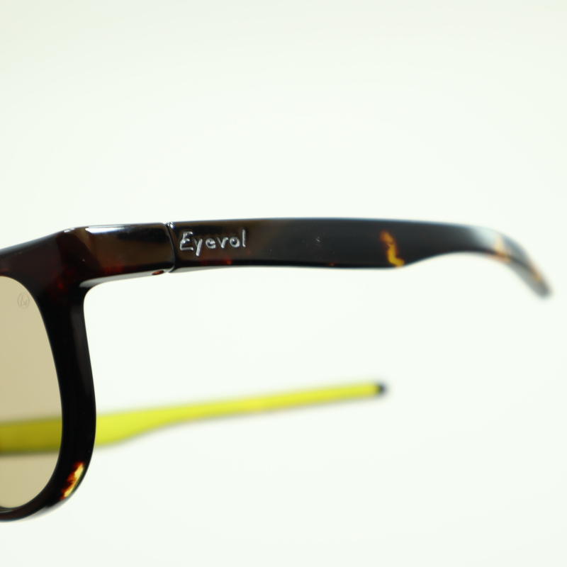 Eyevol アイヴォル Leifer レイファーツー Dm Ly Mbrpl 偏光レン