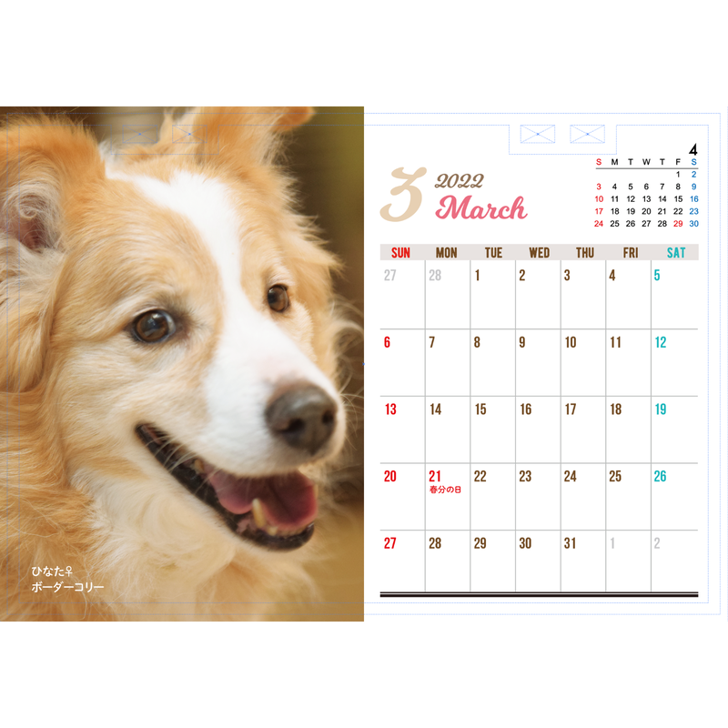 予約販売 22年アニプロオリジナル 犬チャリティーカレンダー B6卓上 Anima