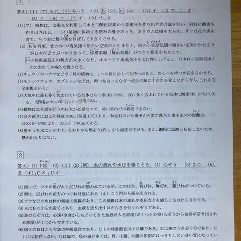 芝中学校 ２３年度用　中学受験　過去問 芝中学校 23年度用 中学受験 過去問