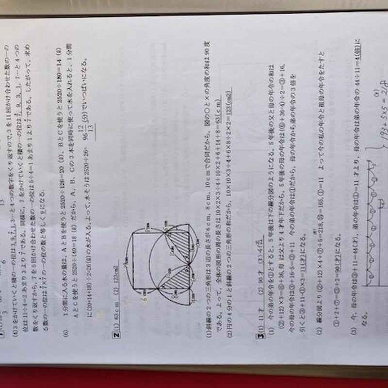 直販半額 中学受験 東邦大付属東邦中学校 23年攻略プリント 算数と理科 ファストファッション通販サイト Emerlinginternational Com