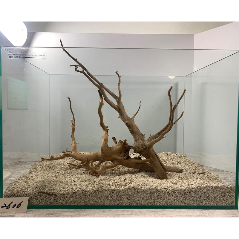 数量は多い 流木 根流木 枝流木 LLサイズ 水槽 アクアリウム テラリウム 魚用品/水草 数量は多い 流木 根流木 枝流木 LLサイズ 水槽 アクアリウム テラリウム 魚用品/水草