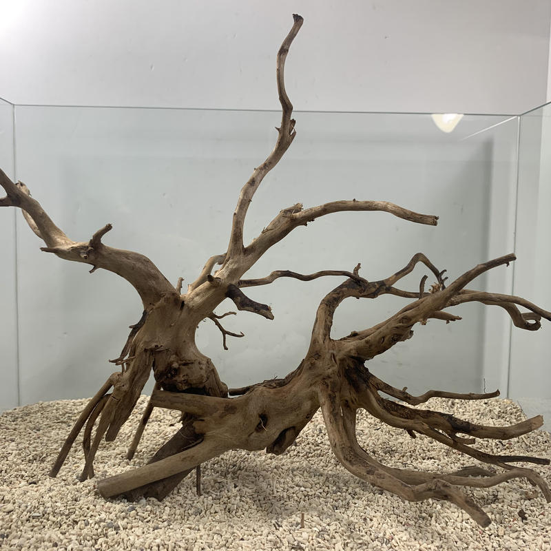 超美品 自然流木 Lサイズ 36cm 一点もの Shipsctc Org