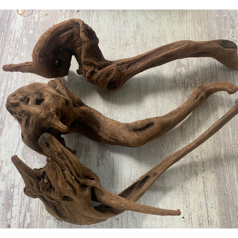 最新入荷 流木 置物 特大 良型 asakusa.sub.jp