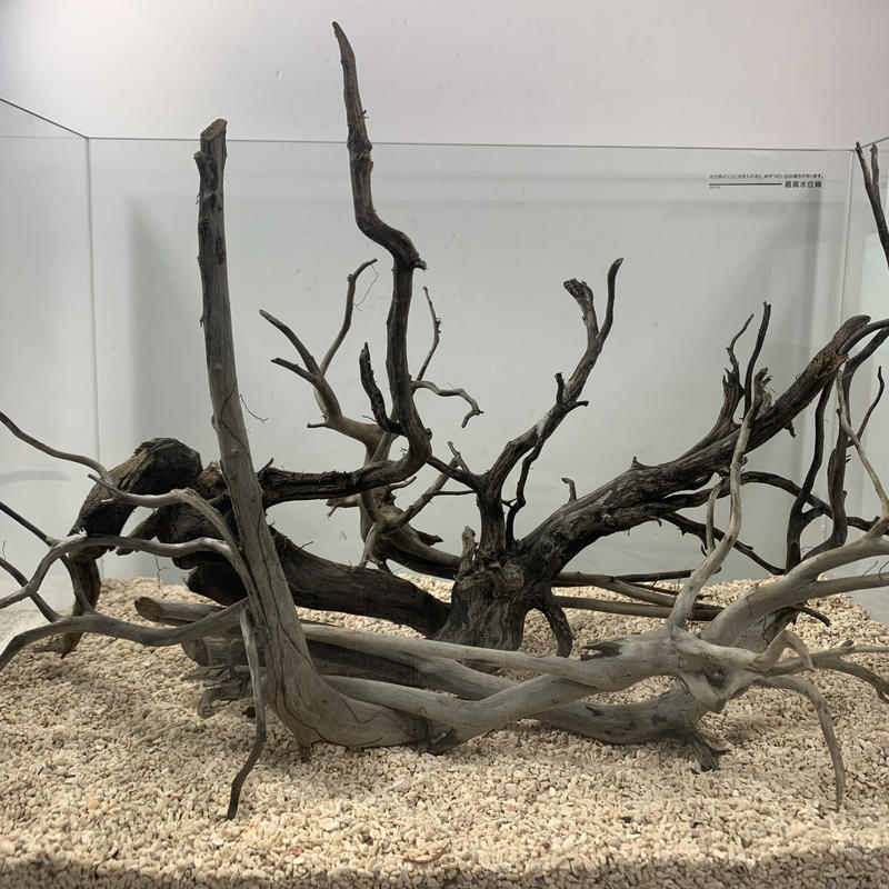 ネシア流木 ブラックお得な6本組レイアウト 1点ものno 2127 45cm水槽 アクア