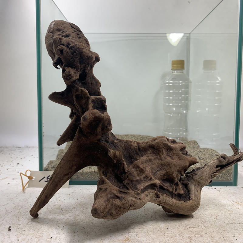 A-STYLE マングローブ流木 超大量 水中管理 沈水済み アク抜き済 32