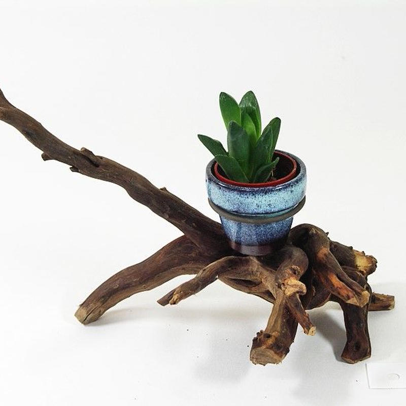 1 5号鉢ホルダー付き流木 卓上型 No 1985 アクアリウム流木販売 アクアリバー