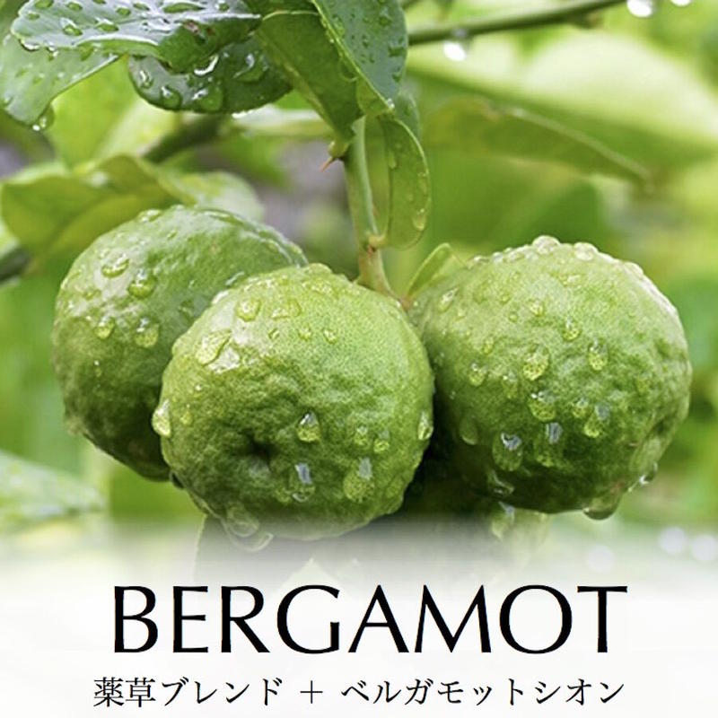 マスク用 抗菌 ベルガモットシオン 爽やかな柑橘アールグレイの香り マスクの抗菌アロマ A