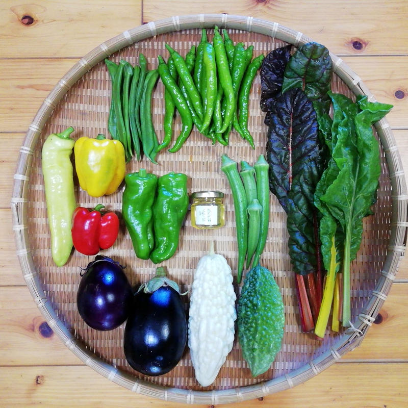 日本最大の 大三島産 純粋蜂蜜 0g Rmladv Com Br