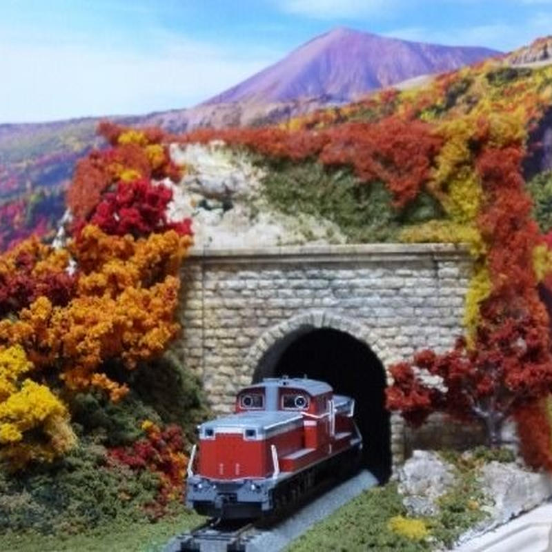 Nゲージ ジオラマ 田舎の風景 山 トンネル50cm×30cm Nゲージ ジオラマ