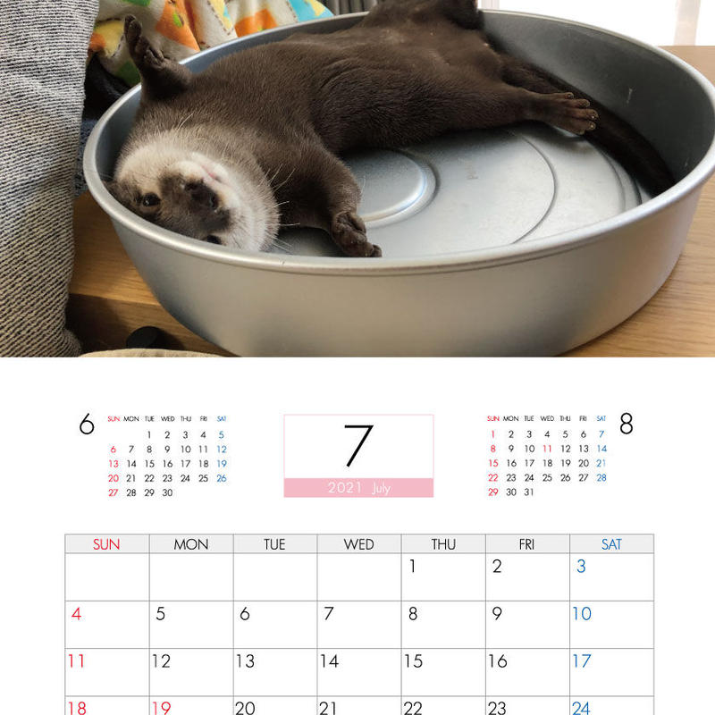 さくら カワウソ