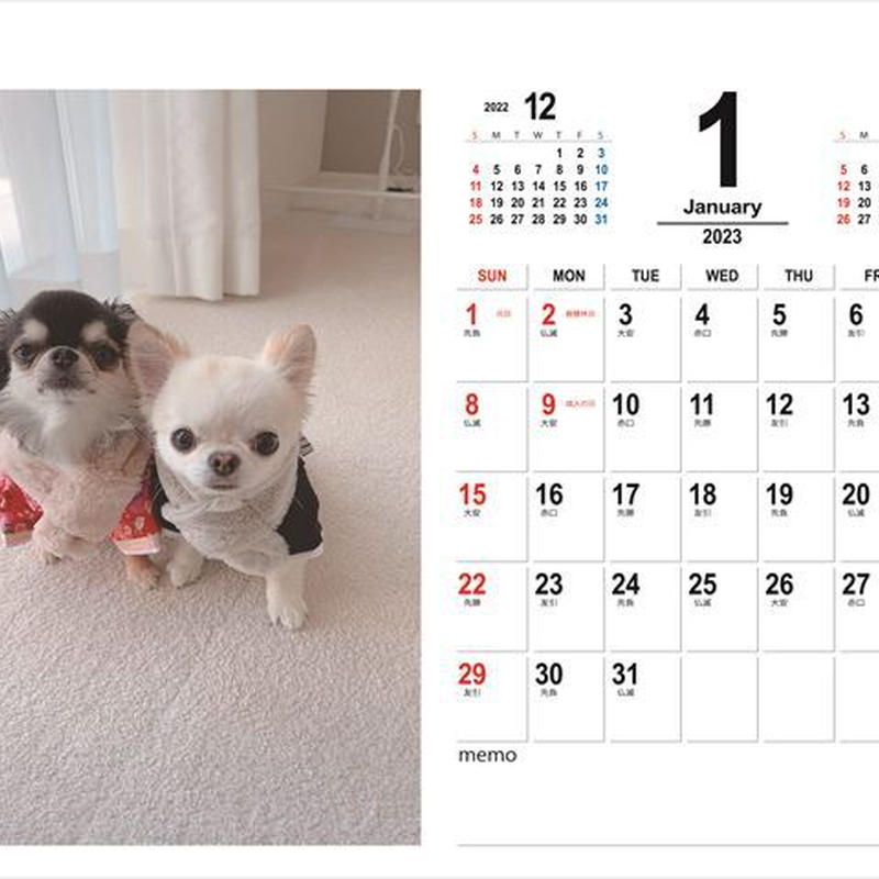 予約販売 チワワ犬のuni Ebi 23年 卓上カレンダー Tc Ani