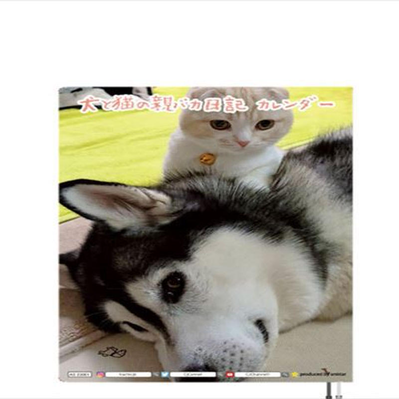 予約販売 シベリアンハスキー犬はっちゃんと猫のじゅんちゃん 23年 A5スケジュール帳