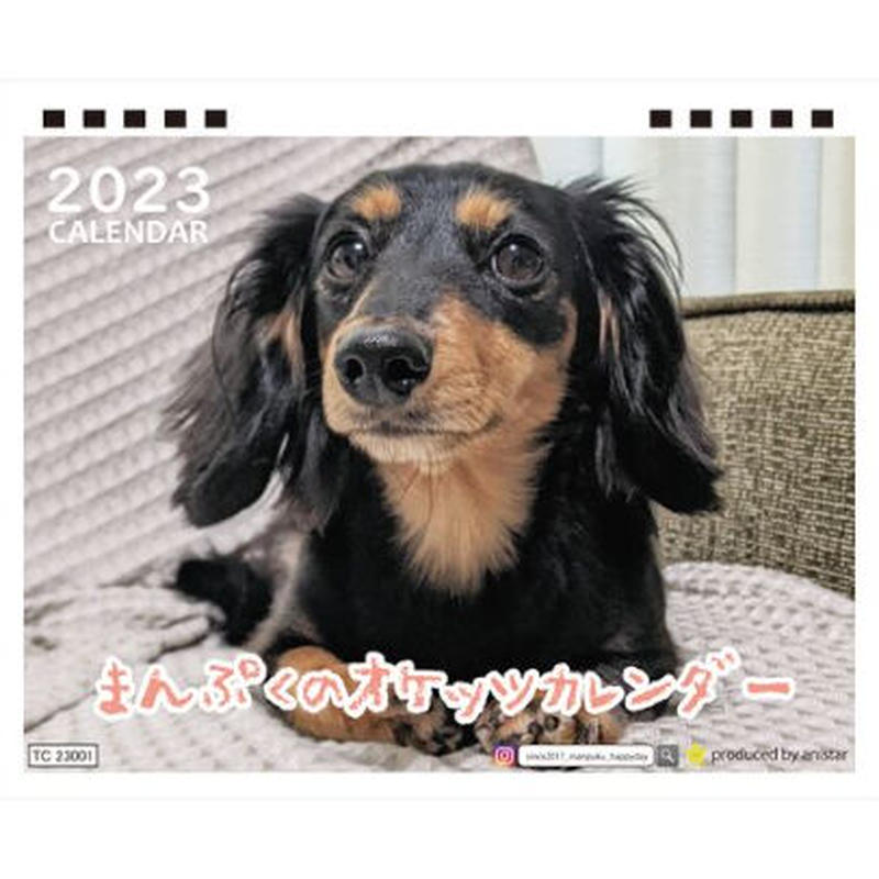 予約販売 ミニチュアダックス犬 まんぷくのオケッツ 23年 卓上カレンダー Tc232