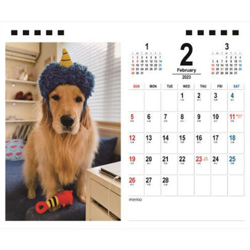 予約販売 ゴールデンレトリバー犬のコメ 23年 卓上カレンダー Tc A