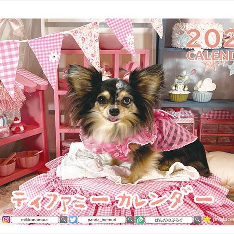 予約販売 チワックス犬のティファニー 23年 卓上カレンダー Tc An