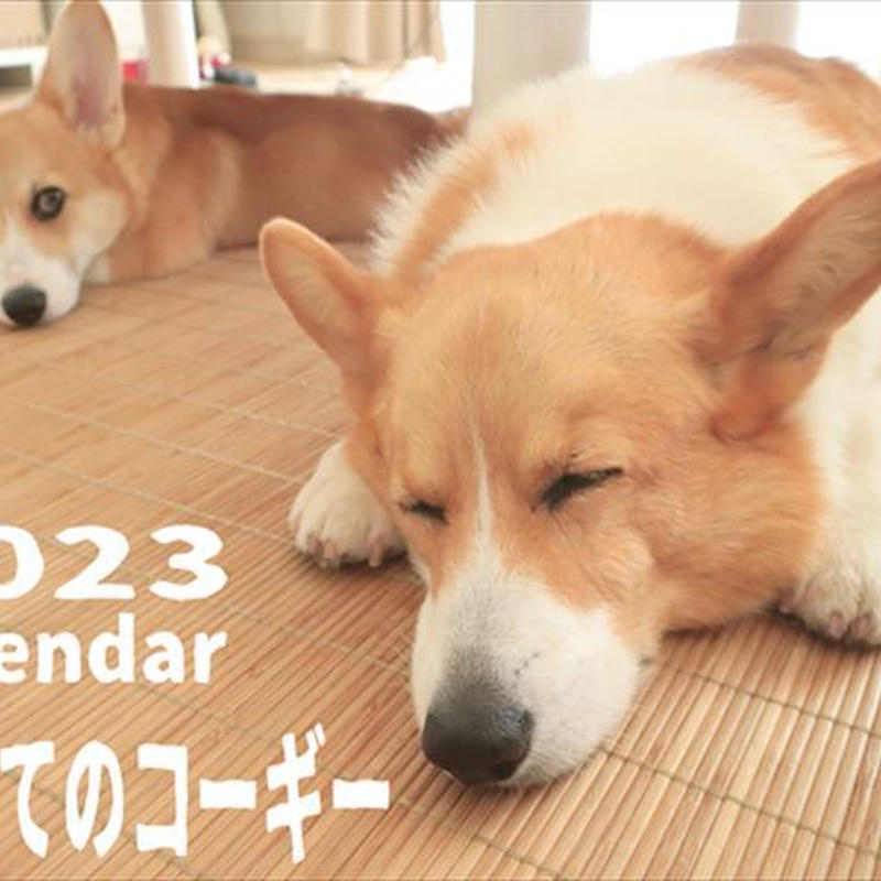 予約販売 初めてのコーギー犬 23年 壁掛けカレンダー Kk Anistar