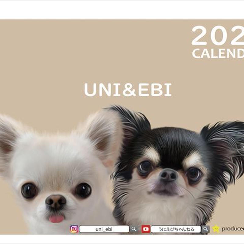 予約販売 チワワ犬のuni Ebi 23年 卓上カレンダー Tc Ani