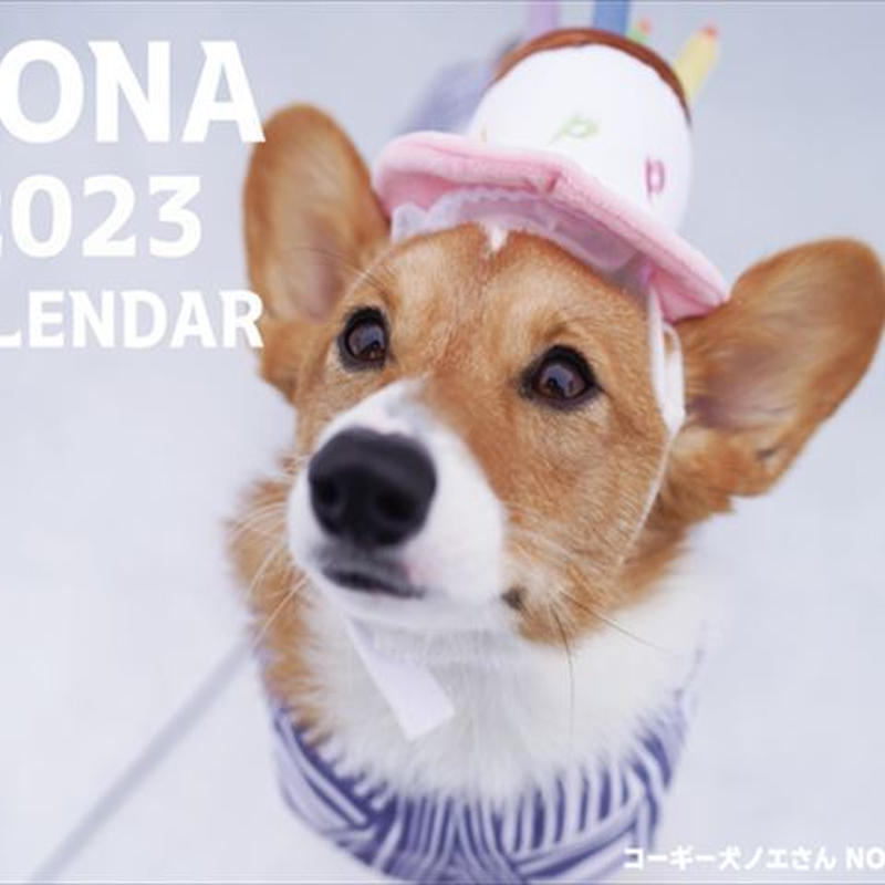 予約販売 コーギー犬 モナ 23年 壁掛けカレンダー Kk Anistar