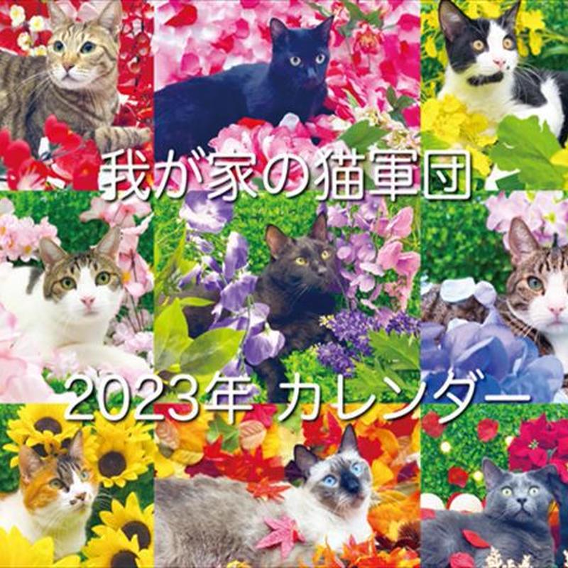 予約販売 我が家の猫軍団 23年 壁掛けカレンダー Kk233 Anistar