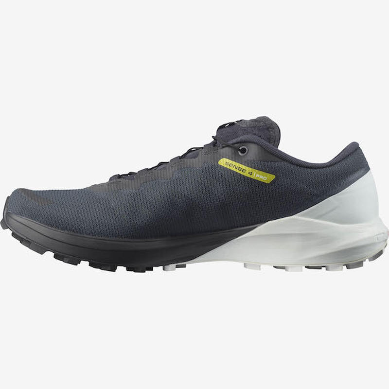 Salomon sense pro. Кроссовки мужские salomon sense ride. Кроссовки salomon sense pro 2. Salomon sense pro belt. Кроссовки salomon sense pro 2.