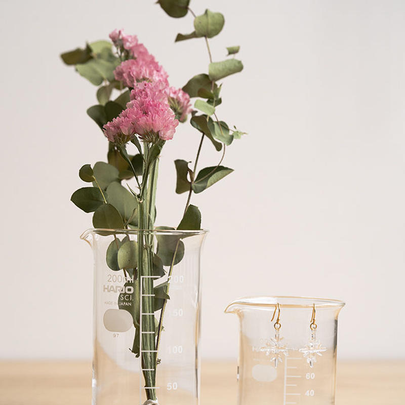 Hario トールビーカー 0ml Atelier Nina