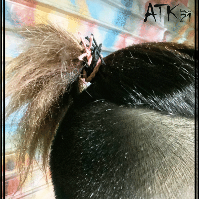 5点セット 三つ編みゴム ヘアゴム ヘアポニー 髪留め ミサンガ メンズ レディース キッズ