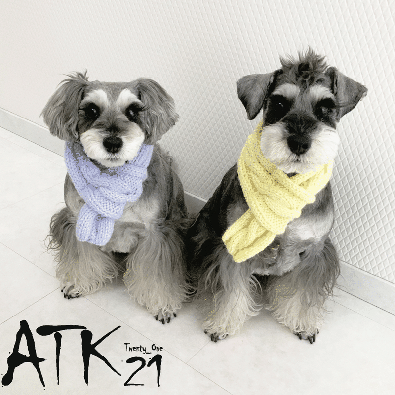 ハンドメイド 手作り 犬用マフラー 縄編みマフラー 愛犬 寒がりのわんこに 冬の防寒アイテム